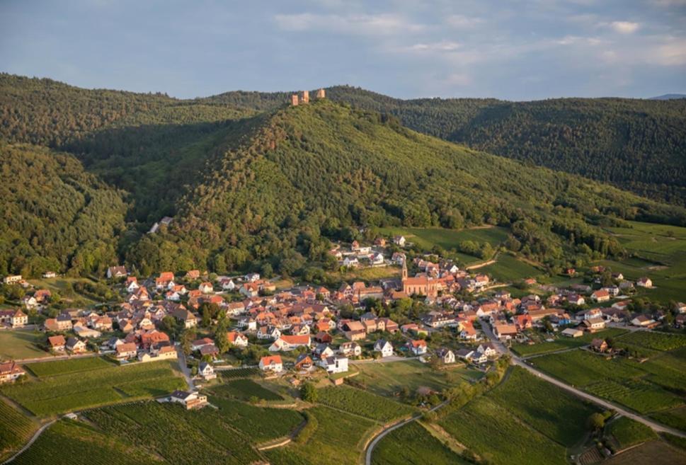 Gite Des Trois Chateaux Husseren-les-Châteaux Eksteriør billede